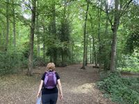 20250804_090320957_iOS