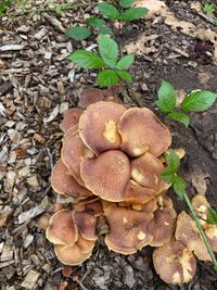 B0439900-BB80-4A7D-BF02-95E7E19B5DC8