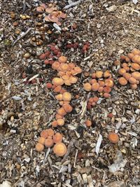 B5AF8D92-5DA4-4D92-A25E-A5D375A79E83