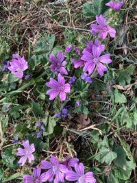 AD9BDCC7-9742-4054-9D8F-1AB969EF5FBF