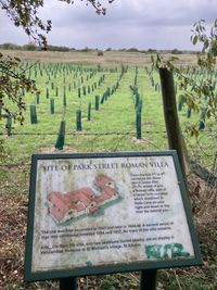 20250928_101955247_iOS