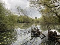 20250928_102314513_iOS