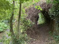 20250928_104400189_iOS