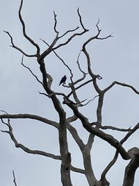 20250928_110538956_iOS