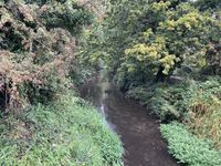 20250928_111505094_iOS