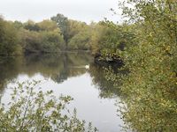 20251012_095129908_iOS