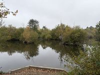 20251012_095206734_iOS