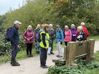 20251012_095224616_iOS